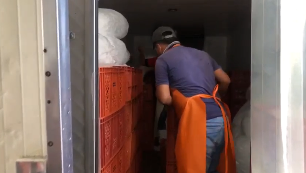 Selección y Clasificación